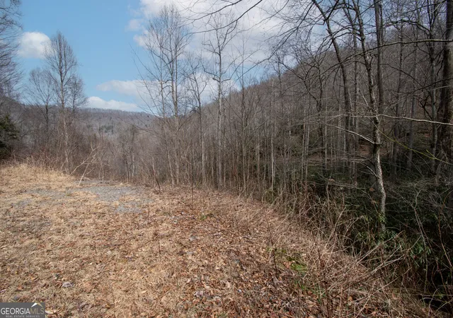 Photo 3 of Land for sale at 0 Walnut Cvs Branch Rd, Robbinsville, NC 28771 | MLS# 10765951 | Listing updated on 2026-06-18