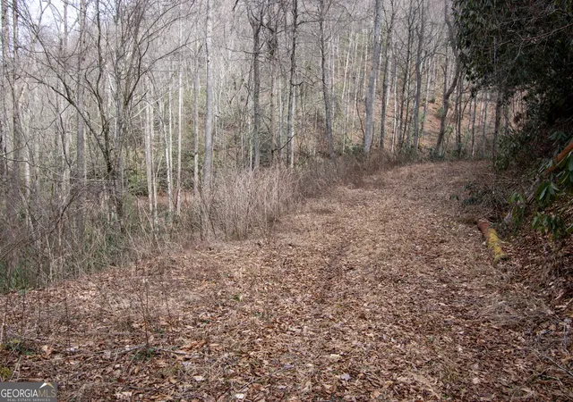 Photo 4 of Land for sale at 0 Walnut Cvs Branch Rd, Robbinsville, NC 28771 | MLS# 10765951 | Listing updated on 2026-06-18