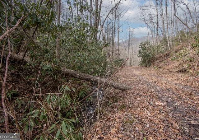 Photo 5 of Land for sale at 0 Walnut Cvs Branch Rd, Robbinsville, NC 28771 | MLS# 10765951 | Listing updated on 2026-06-18