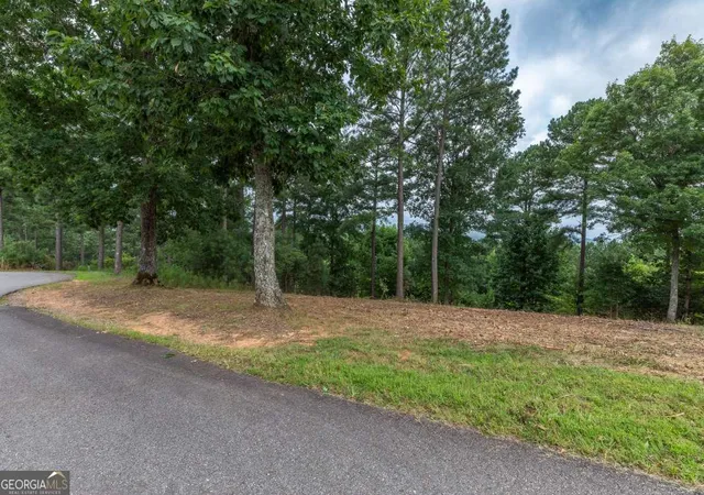 Photo 3 of Land for sale at Lot 13 Thirteen Hundred, Blairsville, GA 30512 | MLS# 10812085 | Listing updated on 2026-08-07