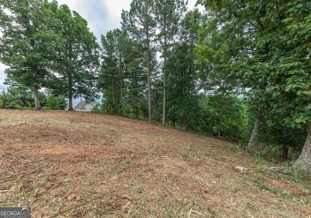 Photo 3 of Land for sale at Lot 13 Thirteen Hundred, Blairsville, GA 30512 | MLS# 10812085 | Listing updated on 2026-08-07