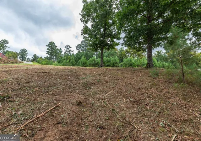 Photo 4 of Land for sale at Lot 13 Thirteen Hundred, Blairsville, GA 30512 | MLS# 10812085 | Listing updated on 2026-08-07