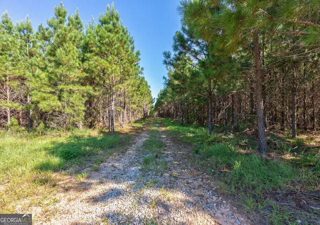 Photo 2 of Sale Pending at 75 Bob Smith Rd, Stephens, GA 30667 | MLS# 10603153 | Listing updated on 2026-01-12