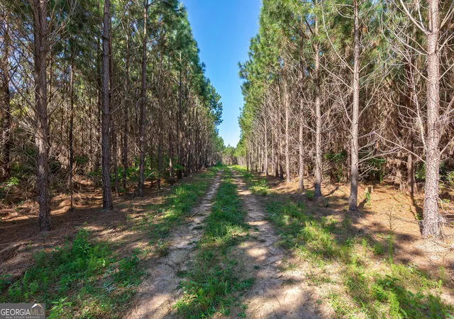 Photo 3 of Sale Pending at 75 Bob Smith Rd, Stephens, GA 30667 | MLS# 10603153 | Listing updated on 2026-01-12