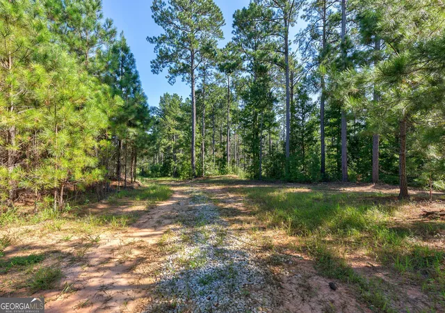 Photo 3 of Sale Pending at 75 Bob Smith Rd, Stephens, GA 30667 | MLS# 10603153 | Listing updated on 2026-01-12