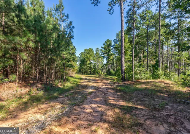 Photo 4 of Sale Pending at 75 Bob Smith Rd, Stephens, GA 30667 | MLS# 10603153 | Listing updated on 2026-01-12