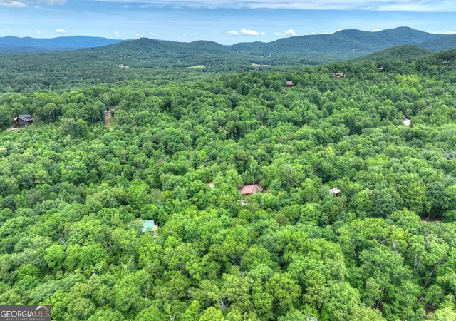 33rd image of 295 Ross Dr, Mineral Bluff, GA 30559 | MLS# 10797169
