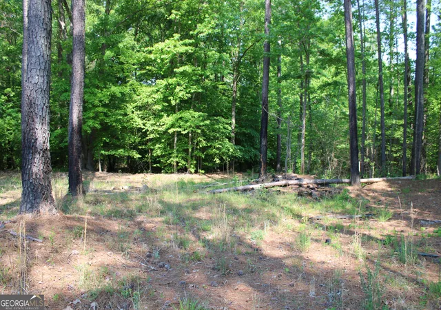 1st image of 000 Hwy 87 Tract 3, Forsyth, GA 31029 | MLS# 10772498