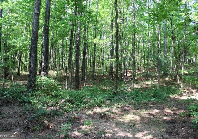 2nd image of 000 Hwy 87 Tract 3, Forsyth, GA 31029 | MLS# 10772498