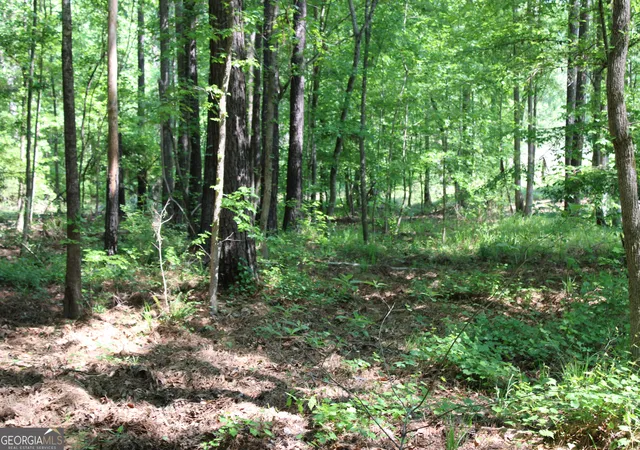 Photo 3 of Land for sale at 0 Hwy 87 Tract 3, Forsyth, GA 31029 | MLS# 10772498 | Listing updated on 2026-06-10