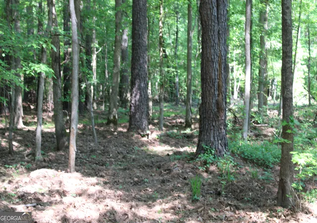 Photo 3 of Land for sale at 0 Hwy 87 Tract 3, Forsyth, GA 31029 | MLS# 10772498 | Listing updated on 2026-06-10