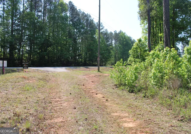 Photo 4 of Land for sale at 0 Hwy 87 Tract 3, Forsyth, GA 31029 | MLS# 10772498 | Listing updated on 2026-06-10