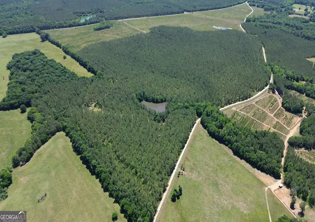 2nd image of 0 Flatwoods Rd, Elberton, GA 30635 | MLS# 10813852
