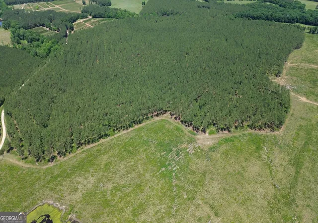 3rd image of 0 Flatwoods Rd, Elberton, GA 30635 | MLS# 10813852