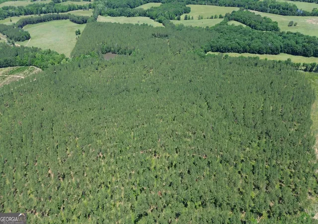 4th image of 0 Flatwoods Rd, Elberton, GA 30635 | MLS# 10813852
