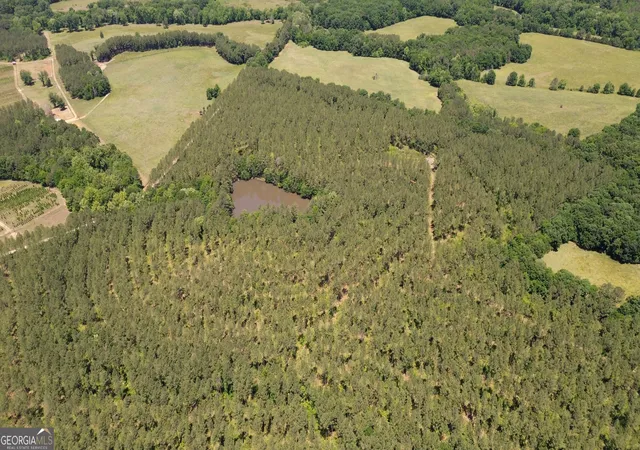 5th image of 0 Flatwoods Rd, Elberton, GA 30635 | MLS# 10813852