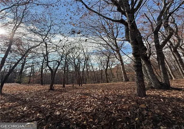 Photo 1 of Land for sale at 0 Orchard Rd, Jasper, GA 30143 | MLS# 10778298 | Listing updated on 2026-07-24
