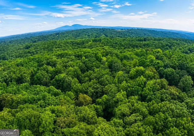 Photo 20 of Land for sale at 0 Orchard Rd, Jasper, GA 30143 | MLS# 10778298 | Listing updated on 2026-07-24