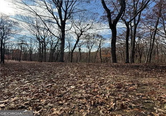 Photo 3 of Land for sale at 0 Orchard Rd, Jasper, GA 30143 | MLS# 10778298 | Listing updated on 2026-10-04
