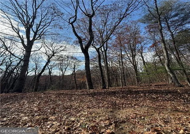 Photo 3 of Land for sale at 0 Orchard Rd, Jasper, GA 30143 | MLS# 10778298 | Listing updated on 2026-10-04