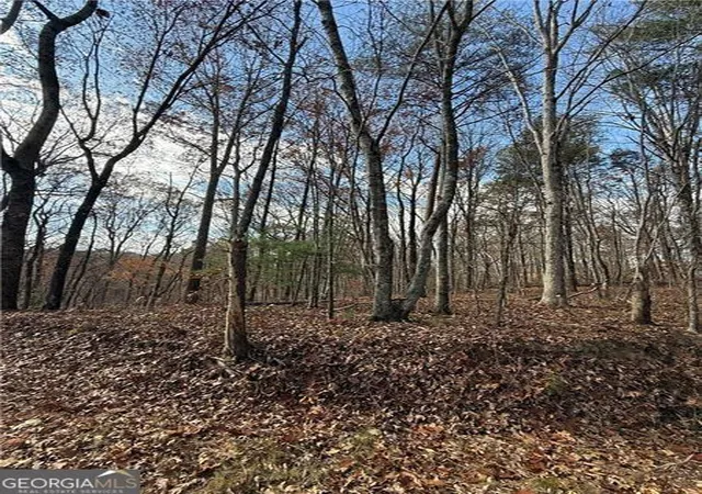 Photo 4 of Land for sale at 0 Orchard Rd, Jasper, GA 30143 | MLS# 10778298 | Listing updated on 2026-10-04