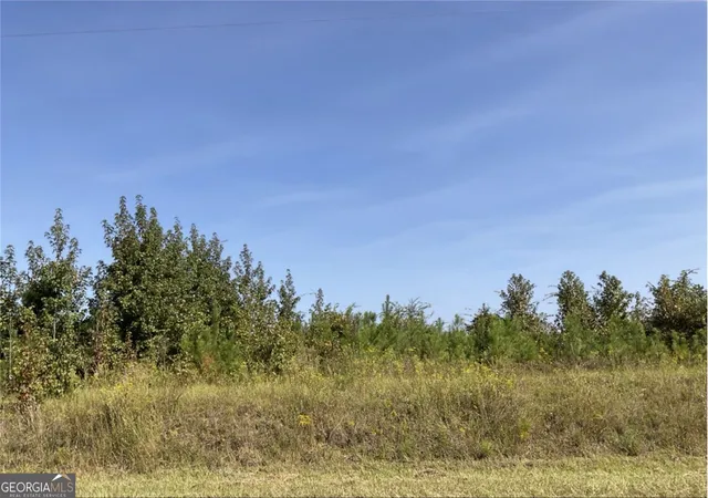 Photo 2 of Land for sale at 0 Old Balls Fry Rd, Toomsboro, GA 31090 | MLS# 10777949 | Listing updated on 2026-06-23