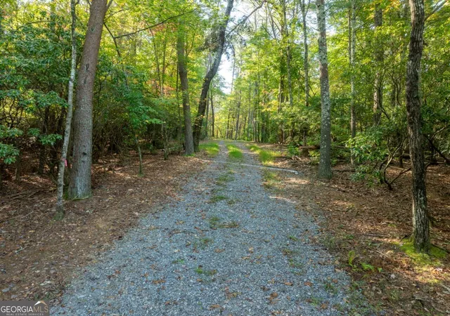 Photo 19 of Land for sale at Tract 1 Turniptown Rd, Ellijay, GA 30536 | MLS# 10807475 | Listing updated on 2026-09-08