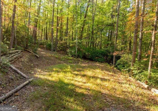 Photo 2 of Land for sale at Tract 1 Turniptown Rd, Ellijay, GA 30536 | MLS# 10807475 | Listing updated on 2026-09-08
