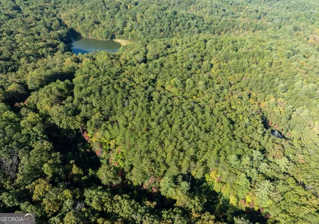 Photo 3 of Land for sale at Tract 1 Turniptown Rd, Ellijay, GA 30536 | MLS# 10807475 | Listing updated on 2026-09-08
