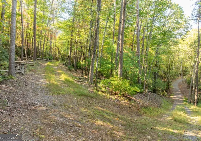 Photo 4 of Land for sale at Tract 1 Turniptown Rd, Ellijay, GA 30536 | MLS# 10807475 | Listing updated on 2026-09-08