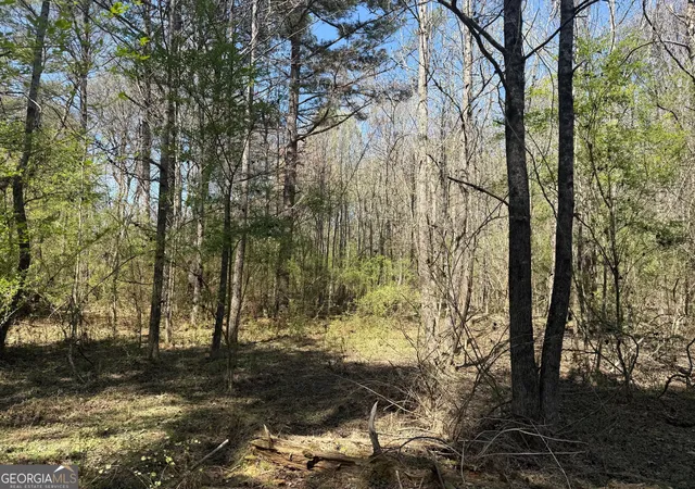 1st image of 78 Mullinax Rd, Taylorsville, GA 30178 | MLS# 10717115