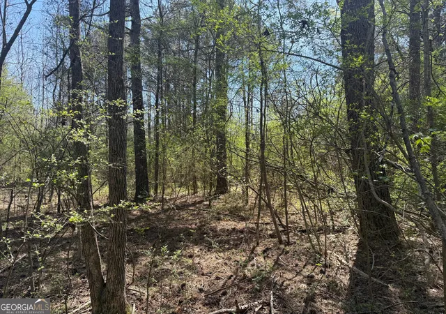 2nd image of 78 Mullinax Rd, Taylorsville, GA 30178 | MLS# 10717115