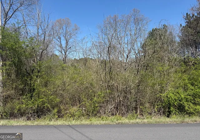 3rd image of 78 Mullinax Rd, Taylorsville, GA 30178 | MLS# 10717115