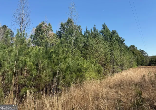 4th image of 78 Mullinax Rd, Taylorsville, GA 30178 | MLS# 10717115
