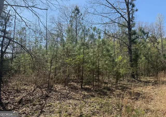 5th image of 78 Mullinax Rd, Taylorsville, GA 30178 | MLS# 10717115