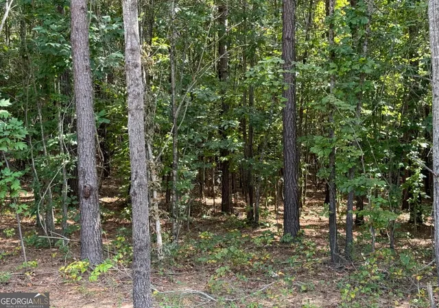 Photo 2 of Land for sale at #3 Lone Bear Path, Dallas, GA 30132 | MLS# 10597776 | Listing updated on 2025-09-18