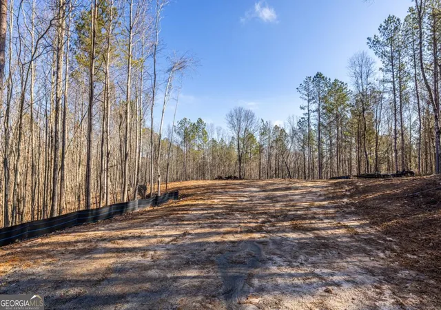 Photo 3 of Land for sale at #3 Lone Bear Path, Dallas, GA 30132 | MLS# 10597776 | Listing updated on 2025-09-18