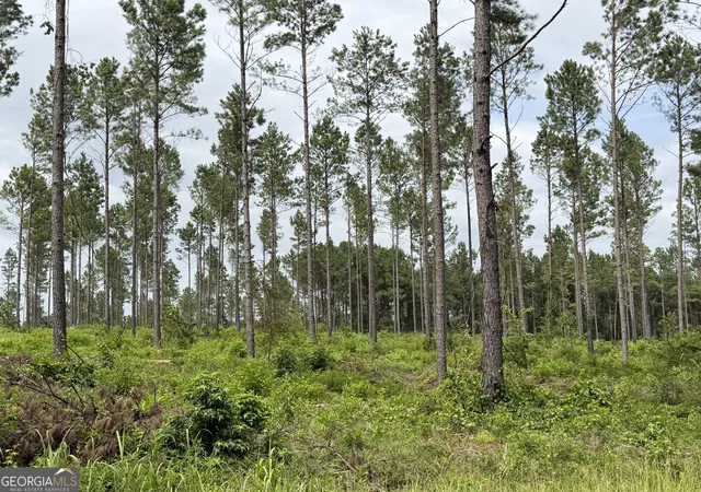 1st image of 005 Old Monticello Rd, Milledgeville, GA 31061 | MLS# 10811676