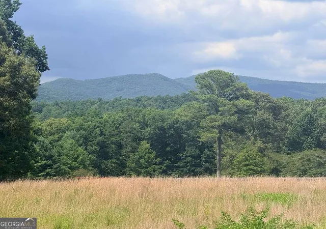 Photo 2 of Land for sale at Lt 6 Spring Camp Rd, Ellijay, GA 30536 | MLS# 10799795 | Listing updated on 2026-07-09