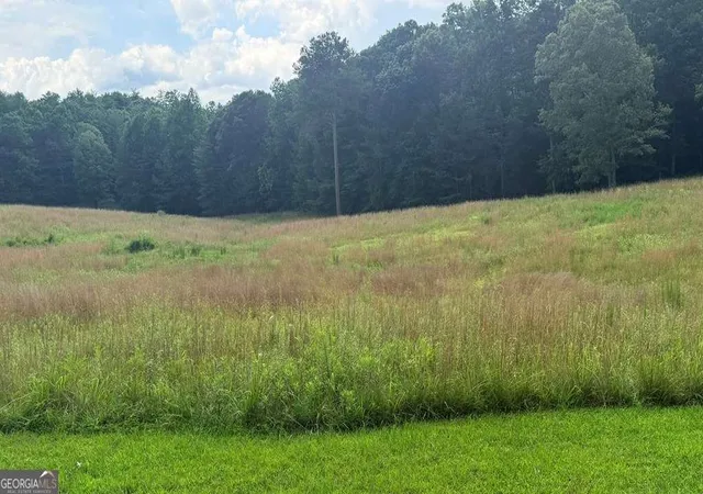 Photo 3 of Land for sale at Lt 6 Spring Camp Rd, Ellijay, GA 30536 | MLS# 10799795 | Listing updated on 2026-07-09