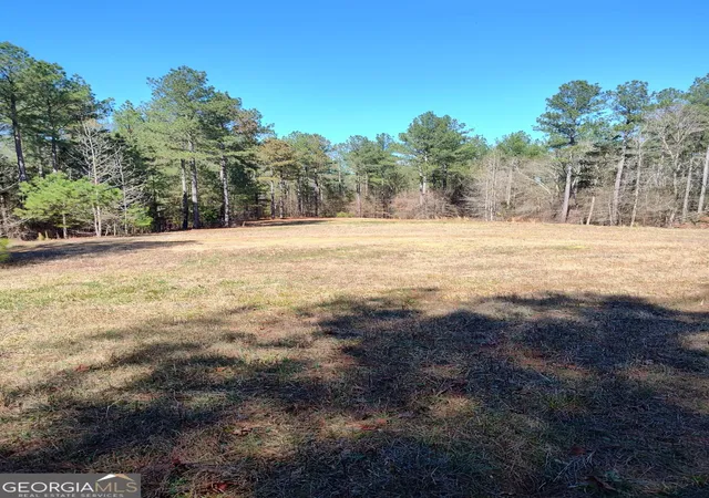 11th image of 1302 River Road, Elberton, GA 30635 | MLS# 10706779