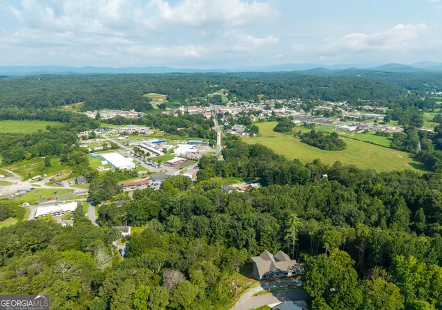 46th image of 313 Jeff Dr, Ellijay, GA 30540 | MLS# 10815762