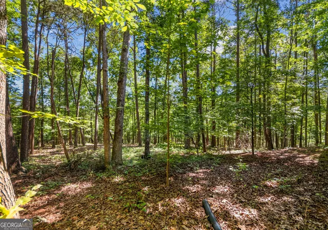 56th image of 180 Choctaw Rdg, Jasper, GA 30143 | MLS# 10703933