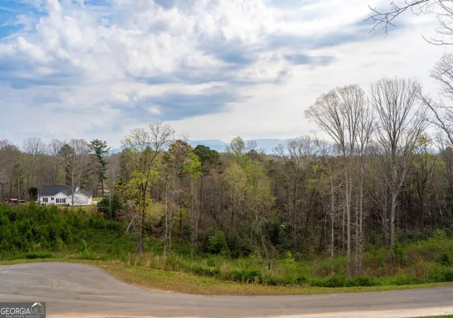 67th image of 251 Mystic Dr, Ellijay, GA 30540 | MLS# 10818449