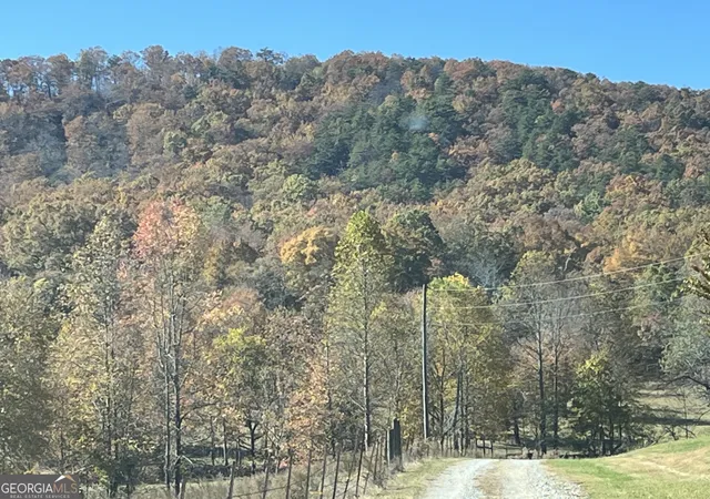 20th image of 00 Freeman View Trail #LOT 4, Cleveland, GA 30528 | MLS# 10797792