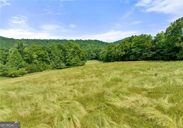 4th image of 00 Freeman View Trail #LOT 4, Cleveland, GA 30528 | MLS# 10797792
