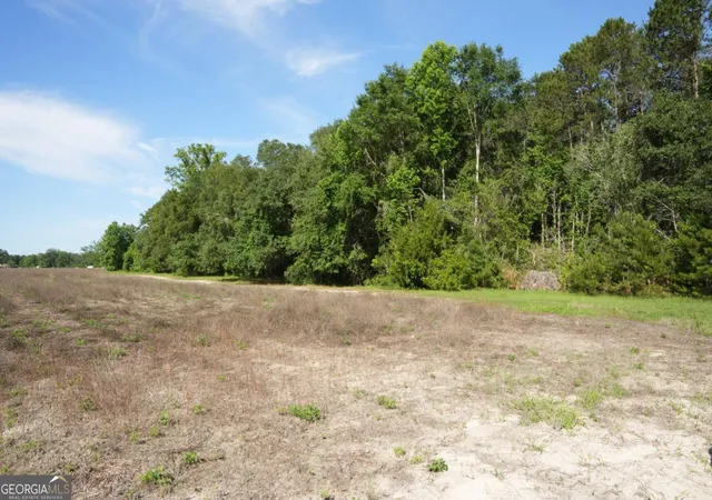20th image of 1800 Olive Branch Rd, Ellabell, GA 31308 | MLS# 10670614