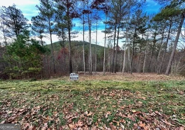 Homes for sale in Blairsville, GA | Lt 62 Ridge Peak Vw #LOT 62, Blairsville, GA 30512 | MLS# 10312280