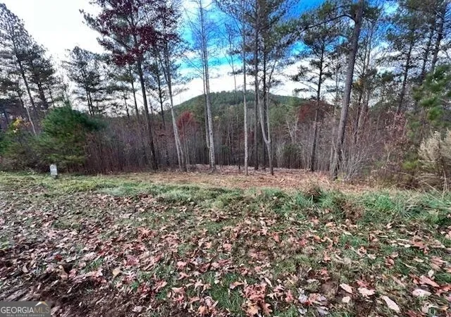 Homes for sale in Blairsville, GA | Lt 62 Ridge Peak Vw #LOT 62, Blairsville, GA 30512 | MLS# 10312280