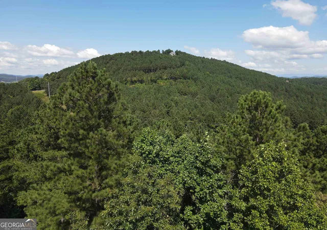 Photo 2 of Land for sale at Lt 62 Ridge Peak Vw #LOT 62, Blairsville, GA 30512 | MLS# 10312280 | Listing updated on 2026-07-04